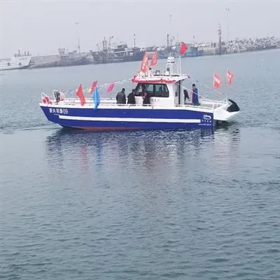 เรืองานหัตถกรรมลงจอด